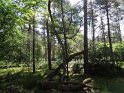 2017-06-01 10-23-09 Rando Fontainebleau DLe